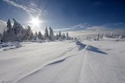 Winterimpressionen